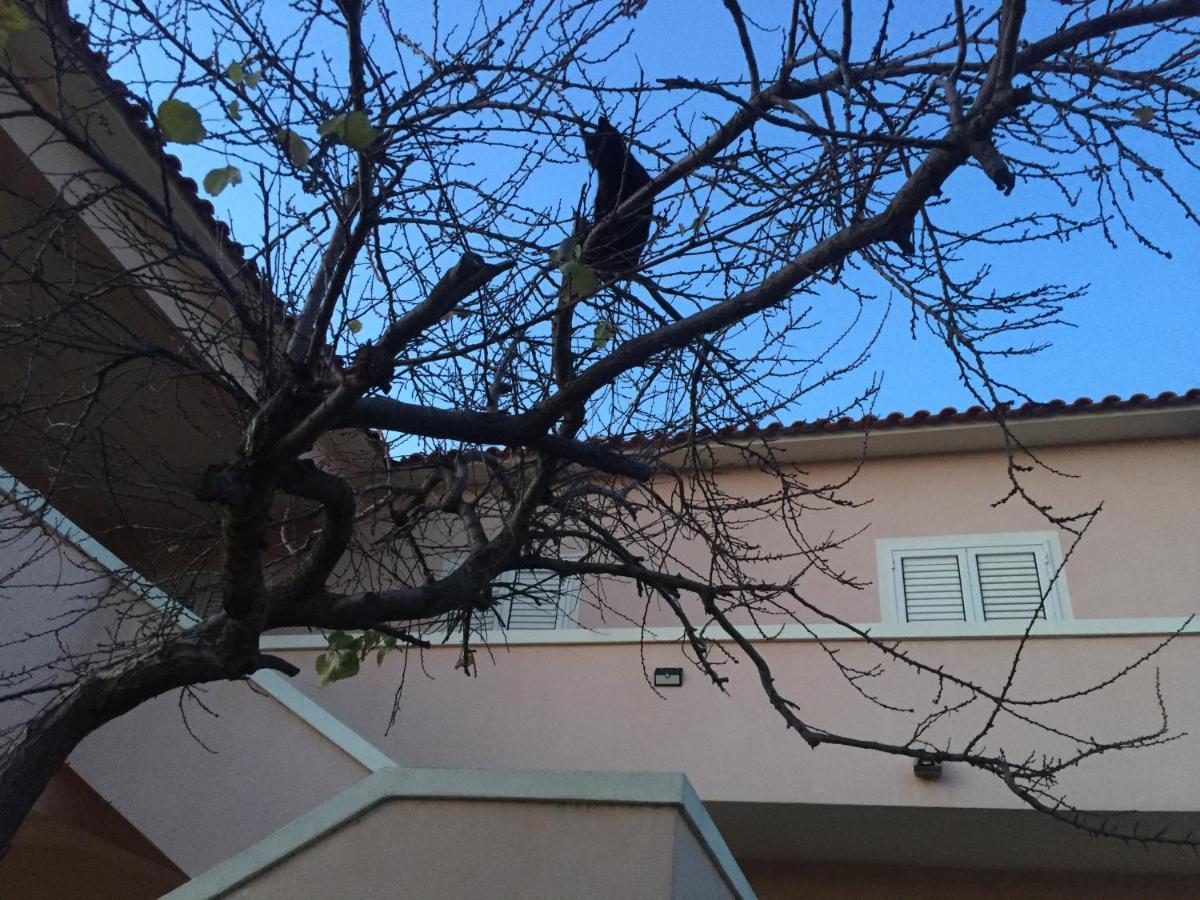 La Maison Di Zia Annina Olbia Exteriör bild