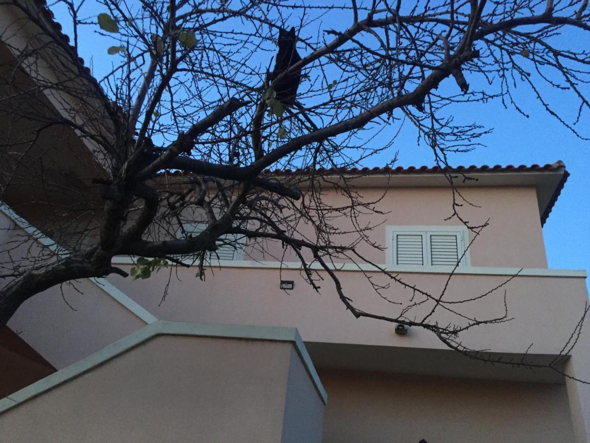 La Maison Di Zia Annina Olbia Exteriör bild