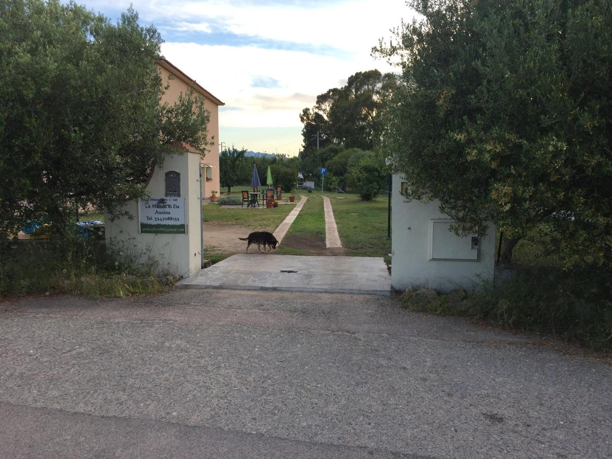 La Maison Di Zia Annina Olbia Exteriör bild