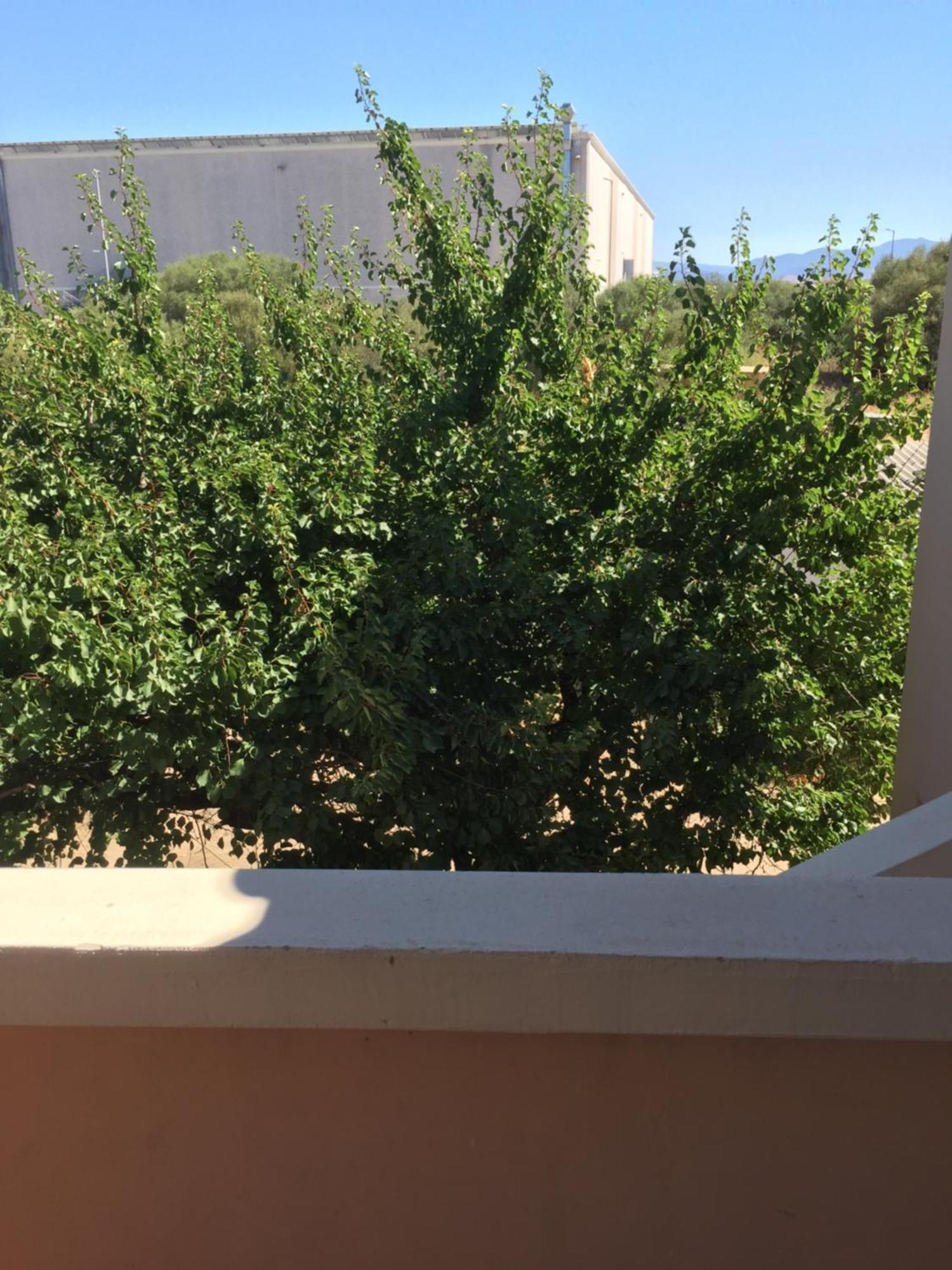 La Maison Di Zia Annina Olbia Exteriör bild