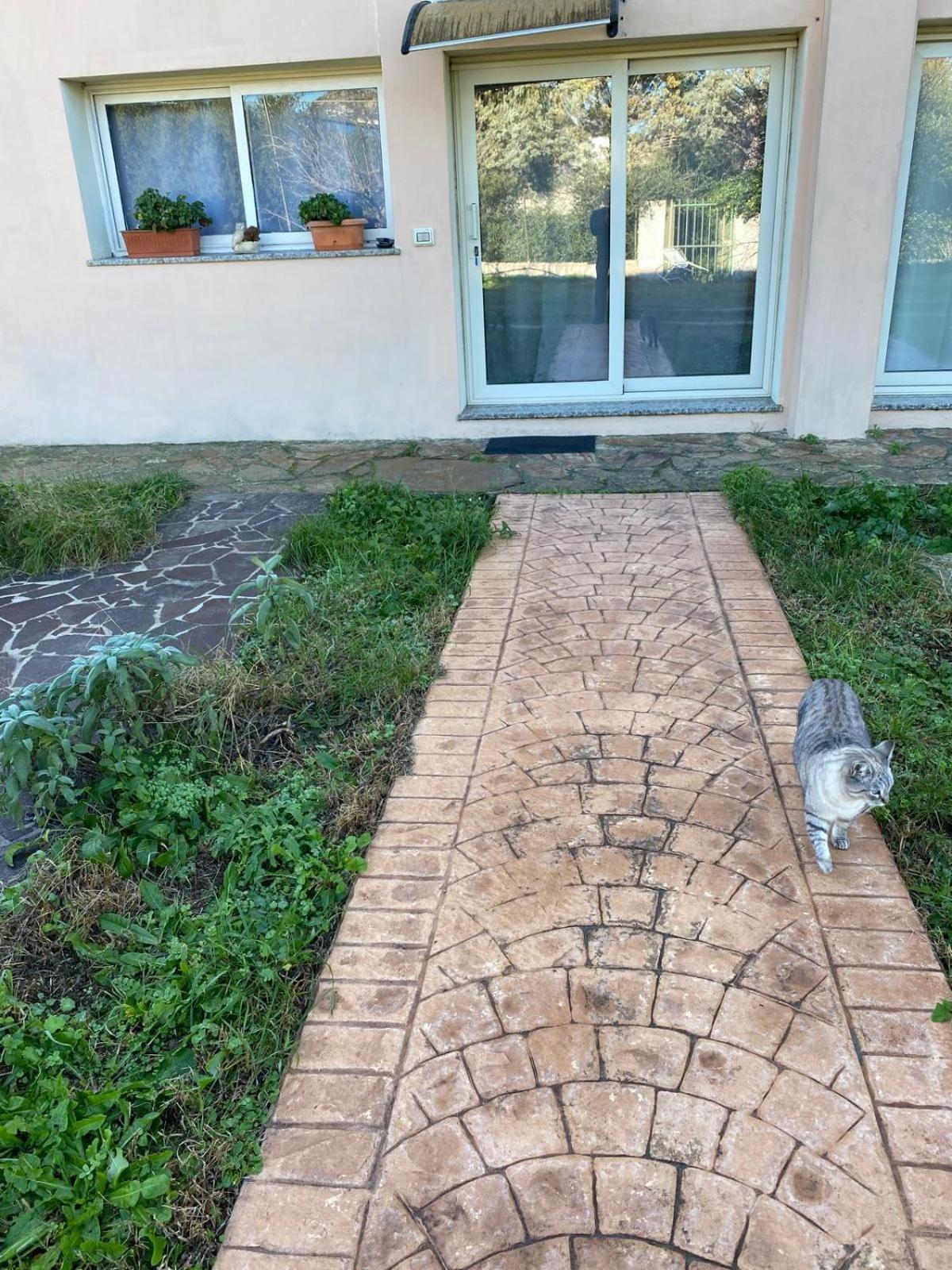 La Maison Di Zia Annina Olbia Exteriör bild