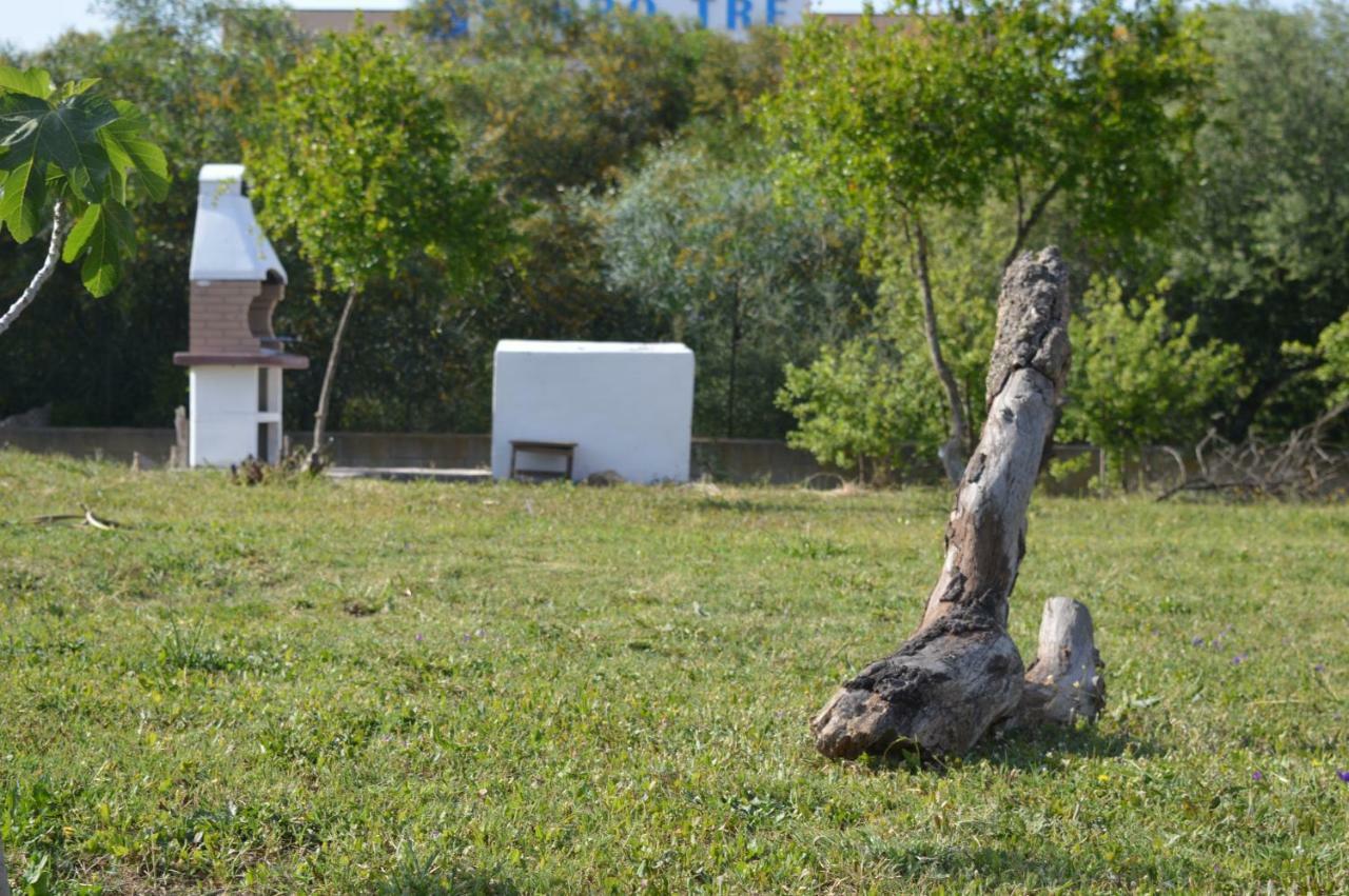 La Maison Di Zia Annina Olbia Exteriör bild